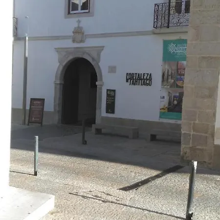 Flamingo Sesimbra