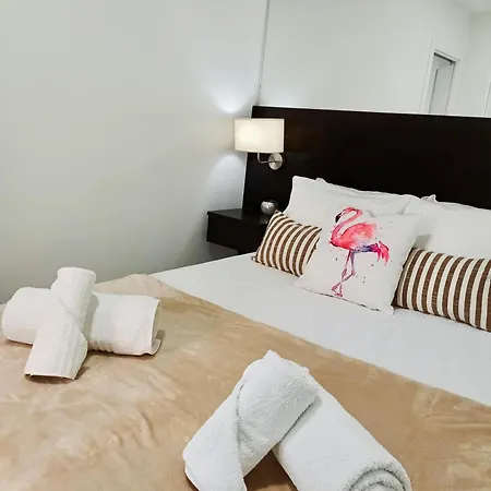 Flamingo Sesimbra