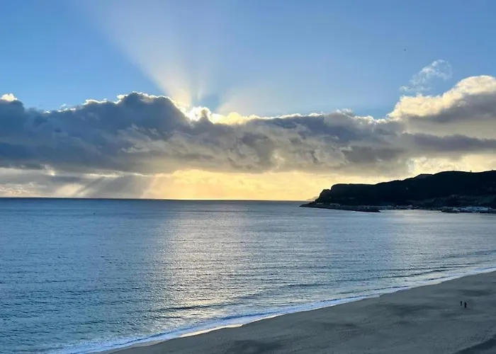 公寓 Flamingo 塞辛布拉