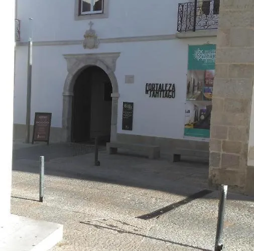 Flamingo 塞辛布拉