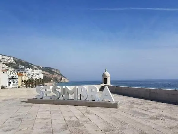 Flamingo 公寓 塞辛布拉