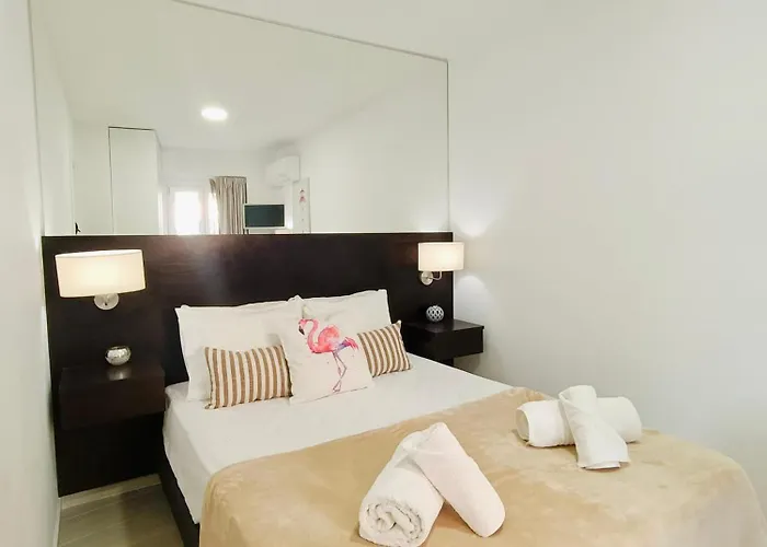 Flamingo * 塞辛布拉